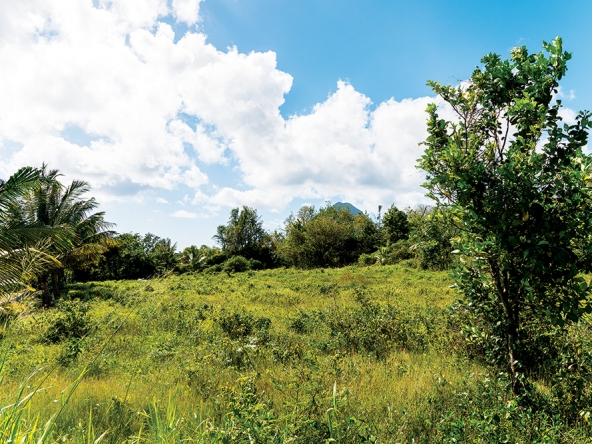 RESIDENTIAL land is located in River Doree, Choiseul.