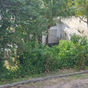 Judicial Sale Property – Urban vigie Castries | April 2026 Auction